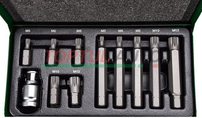 Набор бит Spline 11ед. TOPTUL M5-M12 10мм GAAD1102